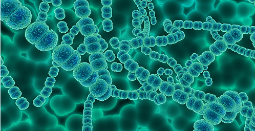 Serotipos de S. Pneumoniae identificados en México